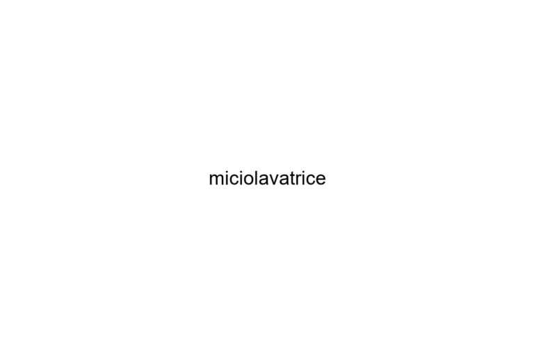 miciolavatrice