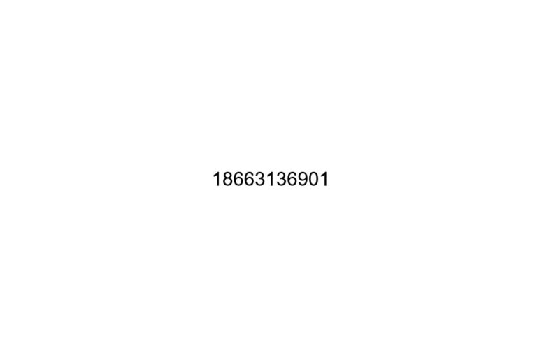 18663136901
