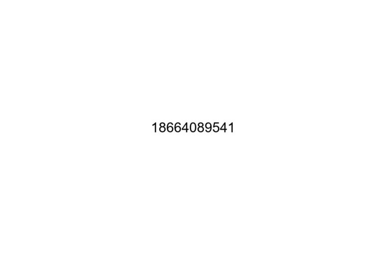 18664089541