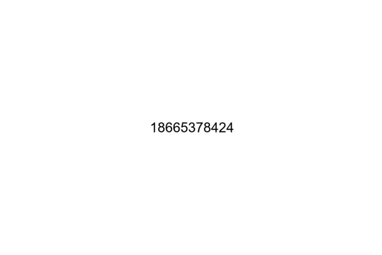 18665378424