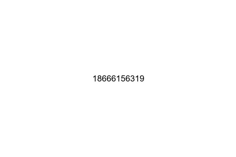 18666156319
