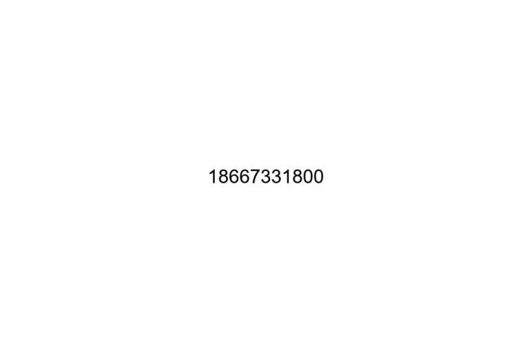 18667331800