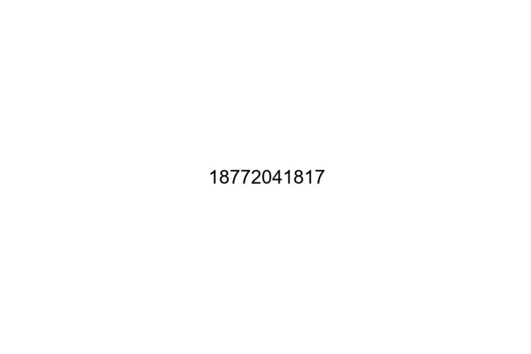 18772041817