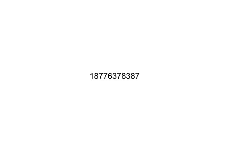 18776378387