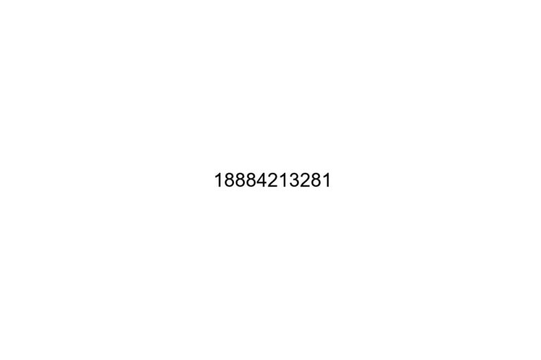 18884213281