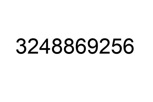 3248869256