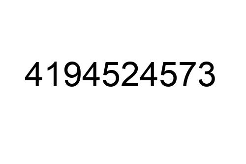 4194524573