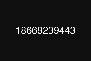 18669239443
