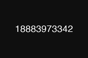 18883973342
