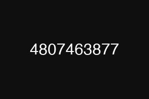 4807463877