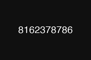 8162378786
