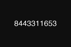 8443311653