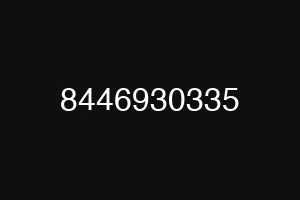 8446930335