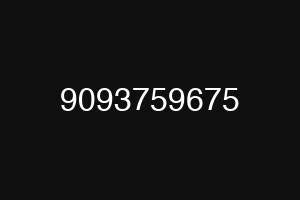 9093759675