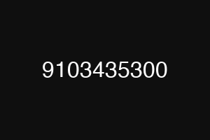 9103435300
