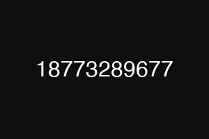 18773289677