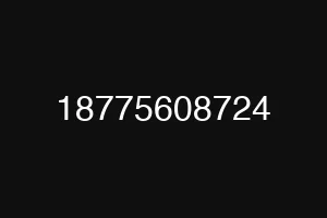 18775608724