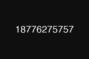 18776275757