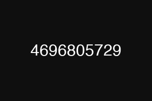 4696805729