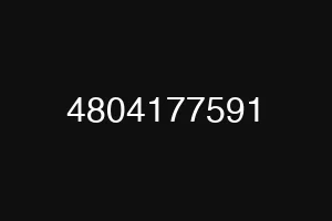 4804177591