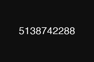 5138742288