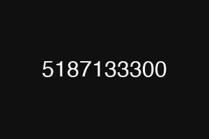 5187133300