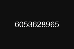 6053628965