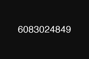 6083024849