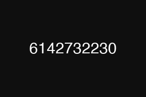 6142732230