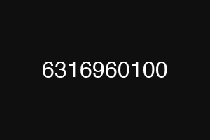 6316960100