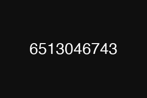 6513046743