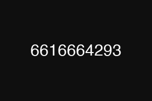 6616664293