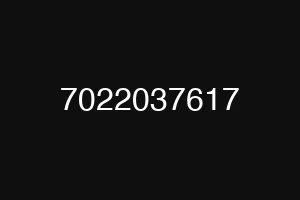 7022037617