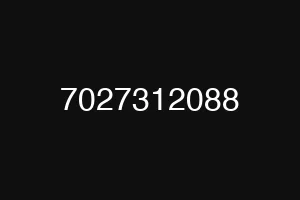 7027312088