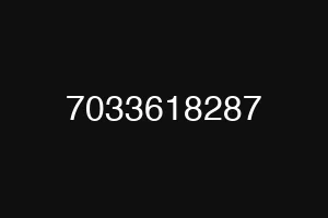 7033618287