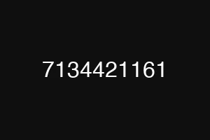 7134421161