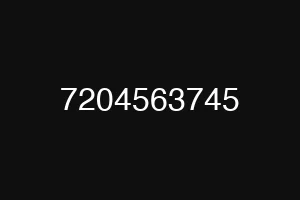 7204563745