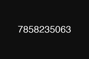 7858235063