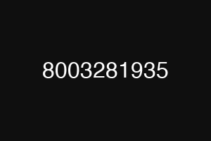 8003281935