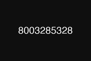 8003285328