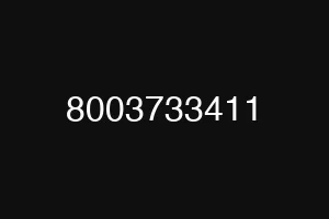 8003733411