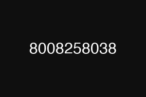 8008258038