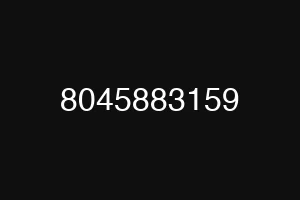8045883159