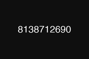 8138712690