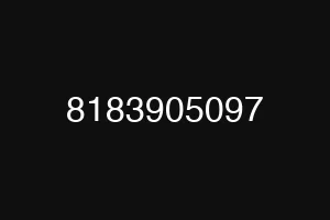 8183905097