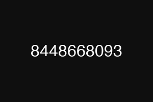 8448668093