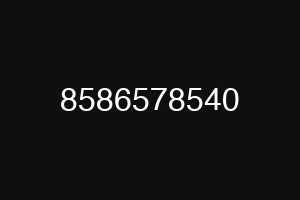 8586578540