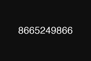 8665249866