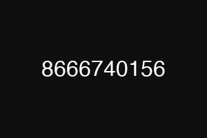 8666740156