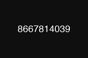 8667814039